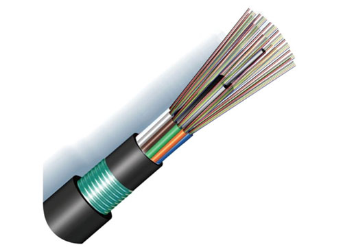 Cable de fibra óptica Anti roedores | Cable de fibra GYFTY53 24 núcleos SM G652D hilo de vidrio doble forrado